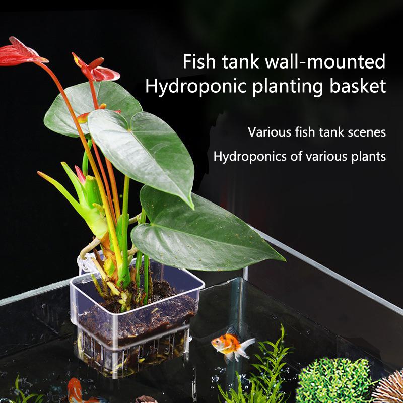 Aquarium Planted Tank Setup - Coppette per Coltivazione Idroponica per Acquario,