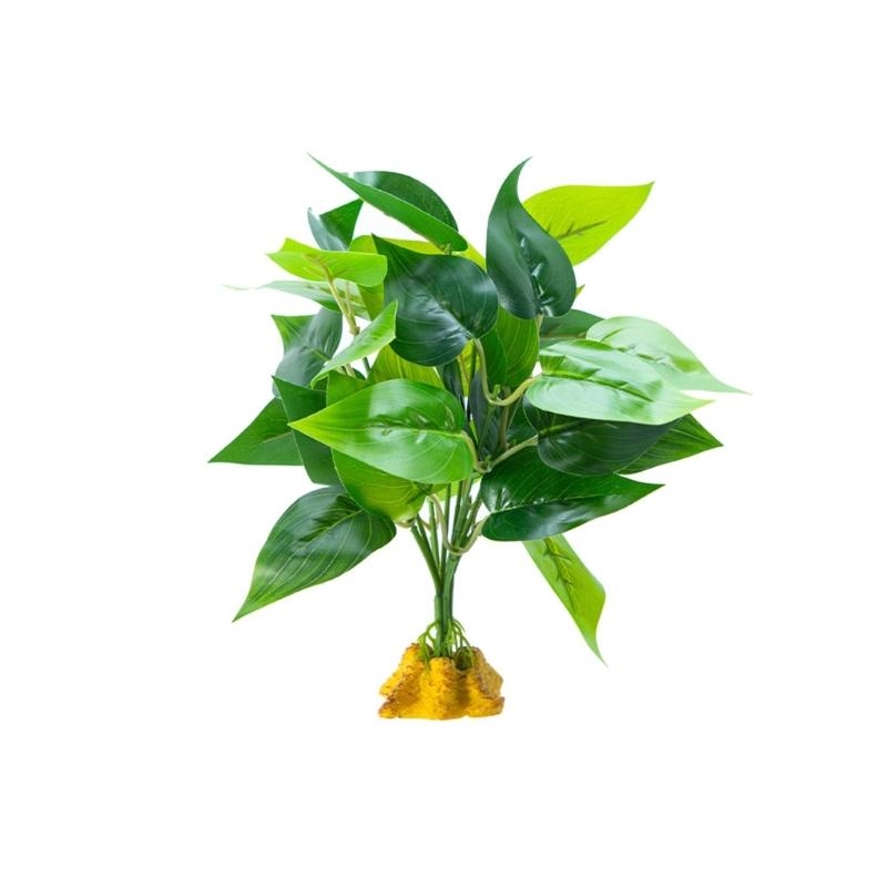 Aquarium Planted Fish - Acquari per piante per piante sospese