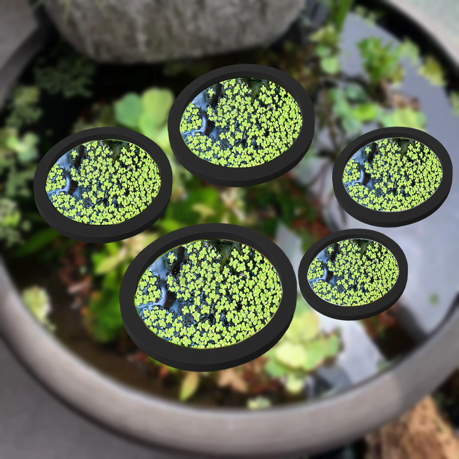 Aquarium Planted Fish - 5 pz EVA Anello di Alimentazione