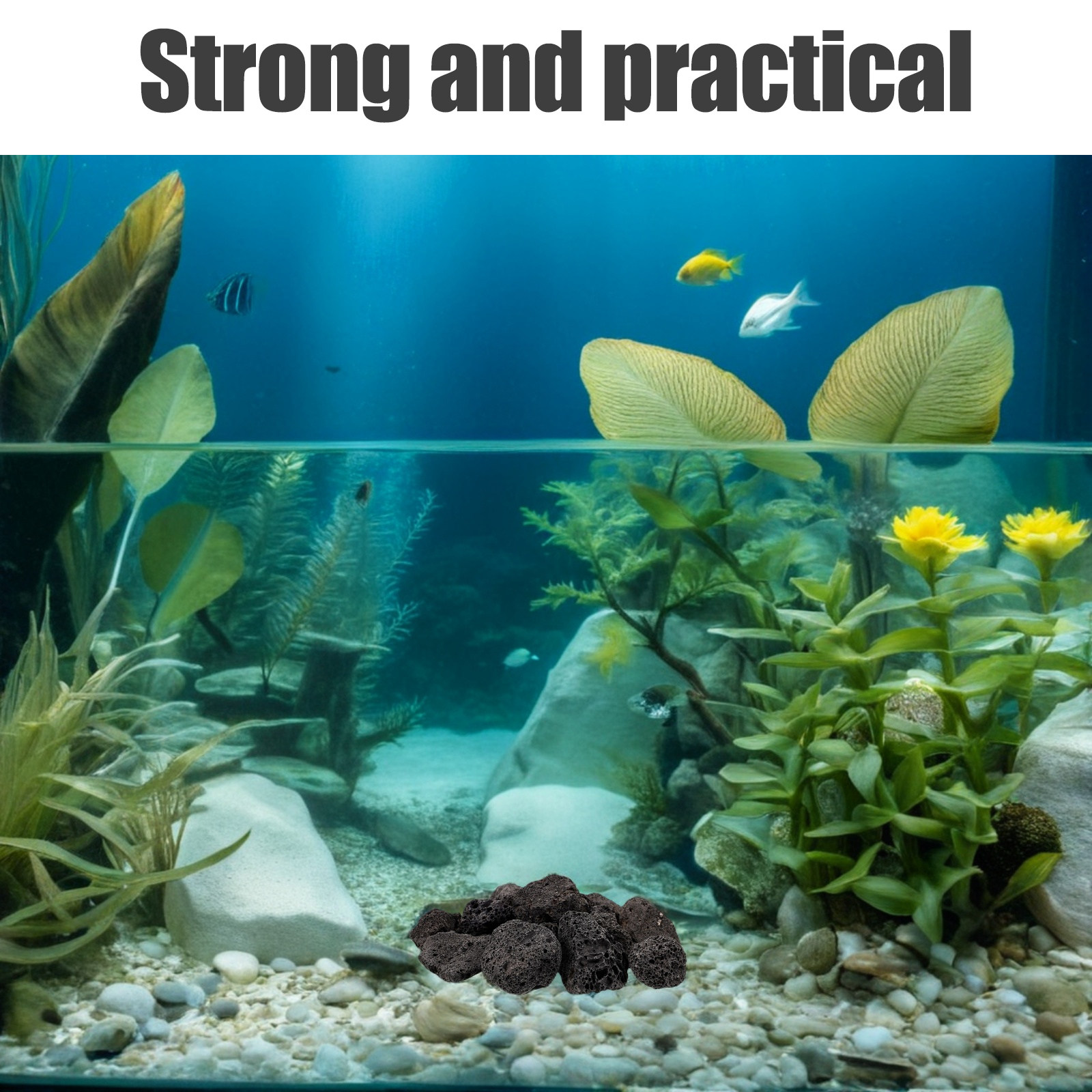 Aquarium Planted Fish - 1 Confezione di Rocce Decorative in