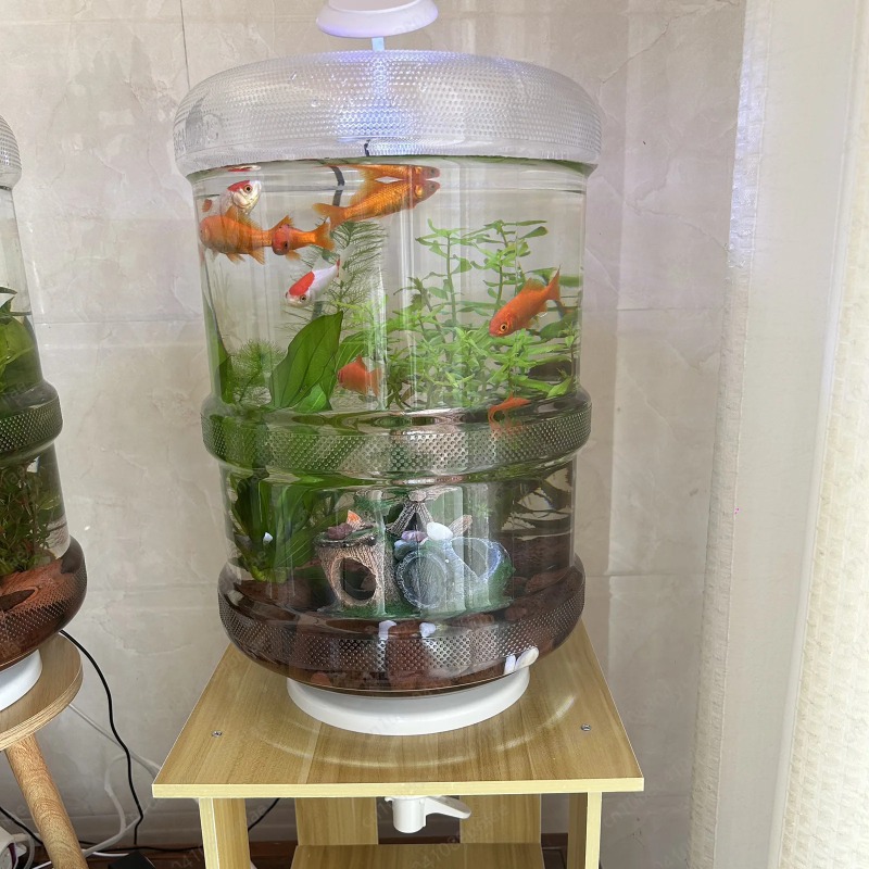 Aquarium Planted Tank Setup - Configurazione istantanea Acquario domestico 30x30 cm
