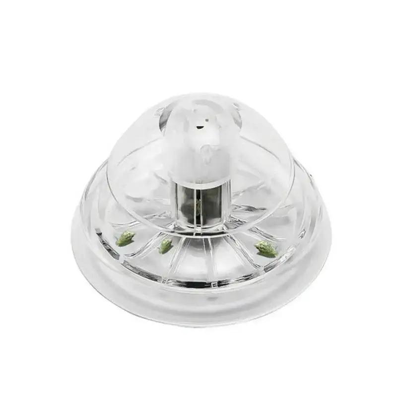 Nuova Trappola per Lumache in  - Aquarium Planted Fish recensione e prezzo