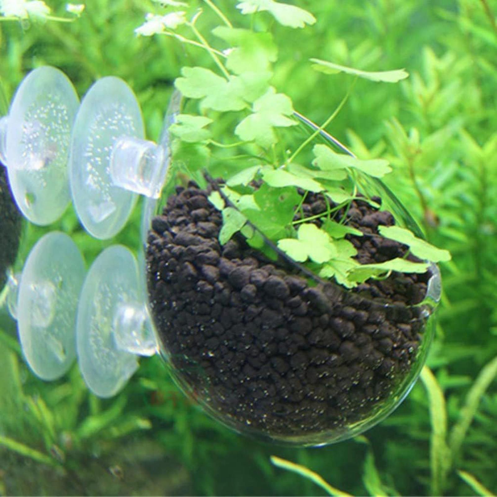 Supporto per Piante Acquatiche - Aquarium Plant Holder recensione e prezzo