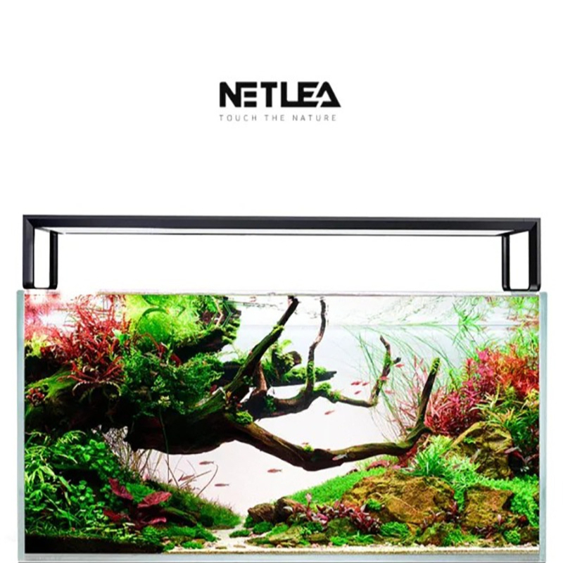 Netlea AT5S V3 Smart Wifi APP  - Aquarium Planted Tank Fertilizer recensione e prezzo
