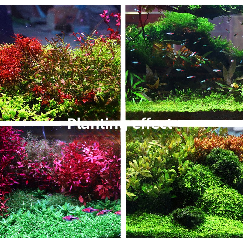 SYSENCIAGA Substrato per acqua - Aquarium Planted Tank Fertilizer recensione e prezzo