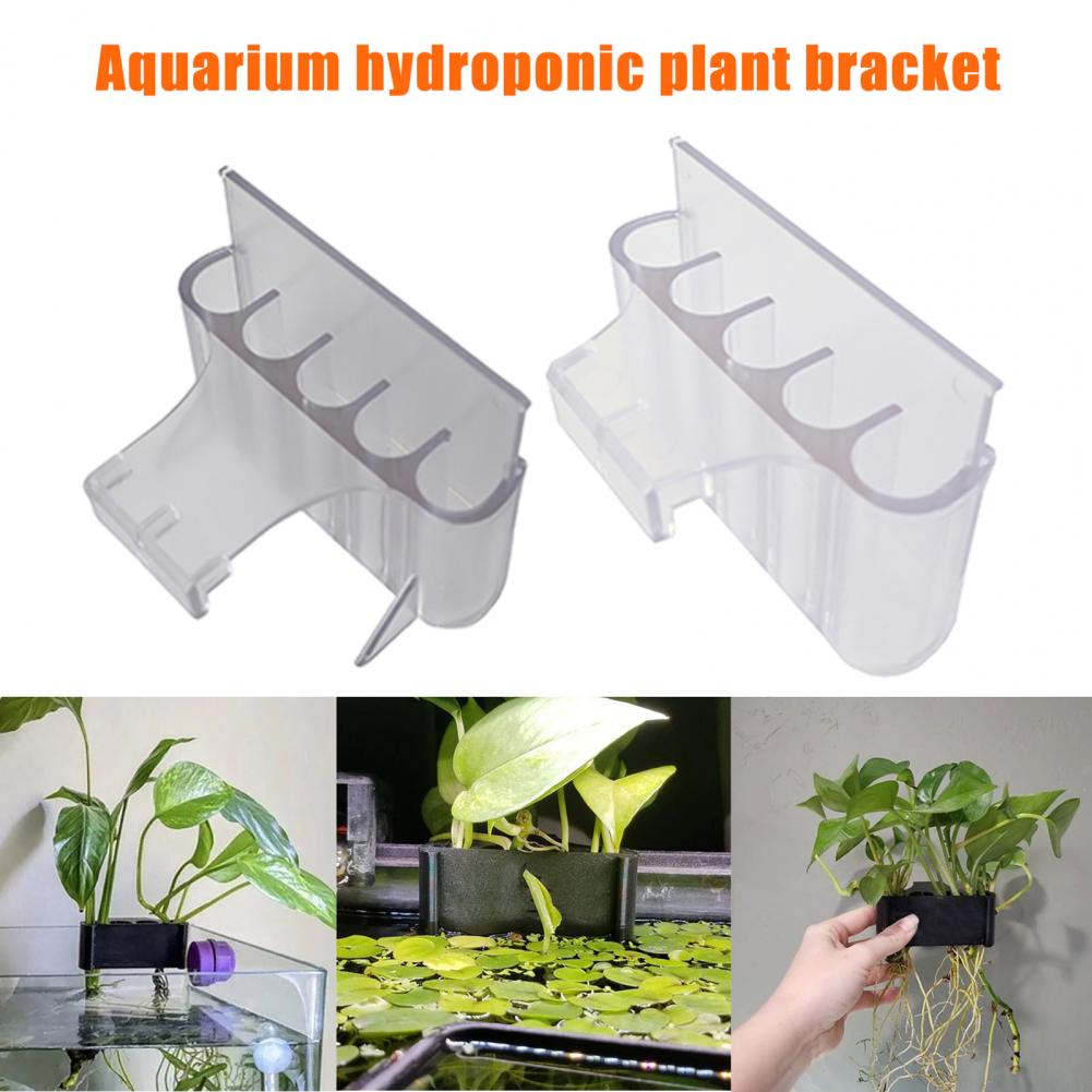 4.5/6.5 centimetri Acquario Pi - Aquarium Plant Holder recensione e prezzo