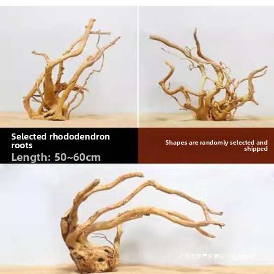 Rami di legno naturale per la  - Aquarium Planted Fish recensione e prezzo