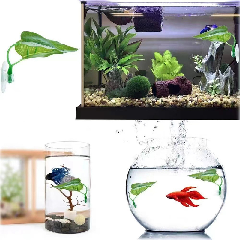 Pianta Acquatica Artificiale p - Planted Aquarium For Betta recensione e prezzo