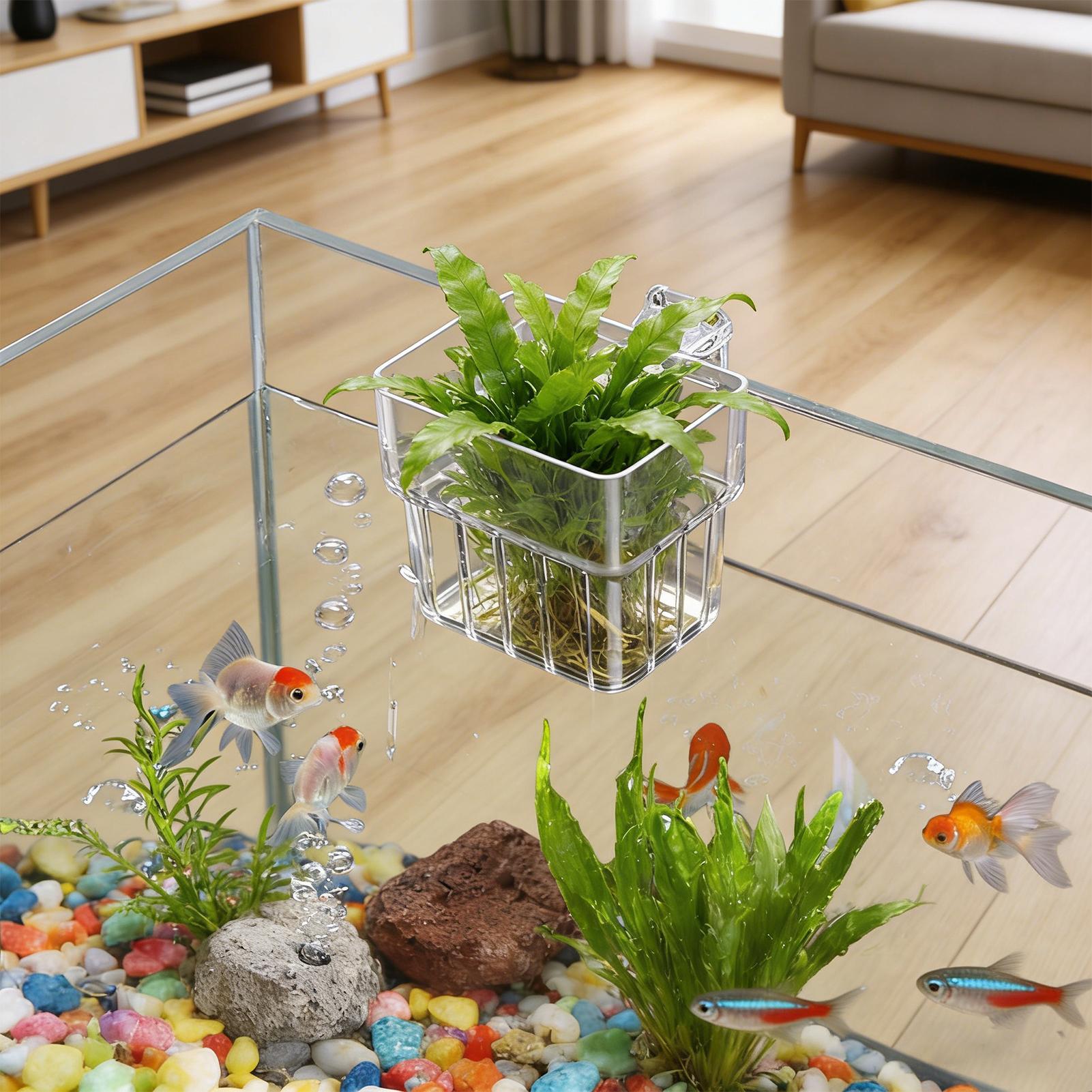 Cestello fisso per acquario, c - Aquarium Plant Holder recensione e prezzo