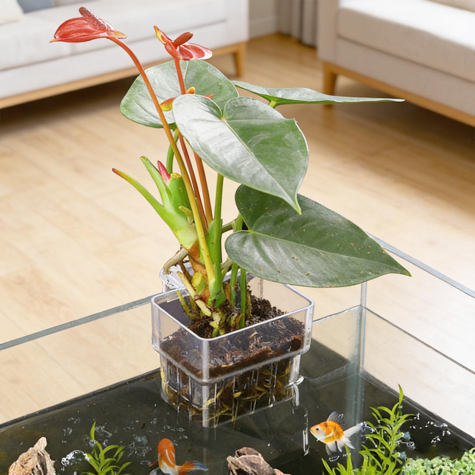 Cestello fisso per acquario, c - Aquarium Plant Holder recensione e prezzo