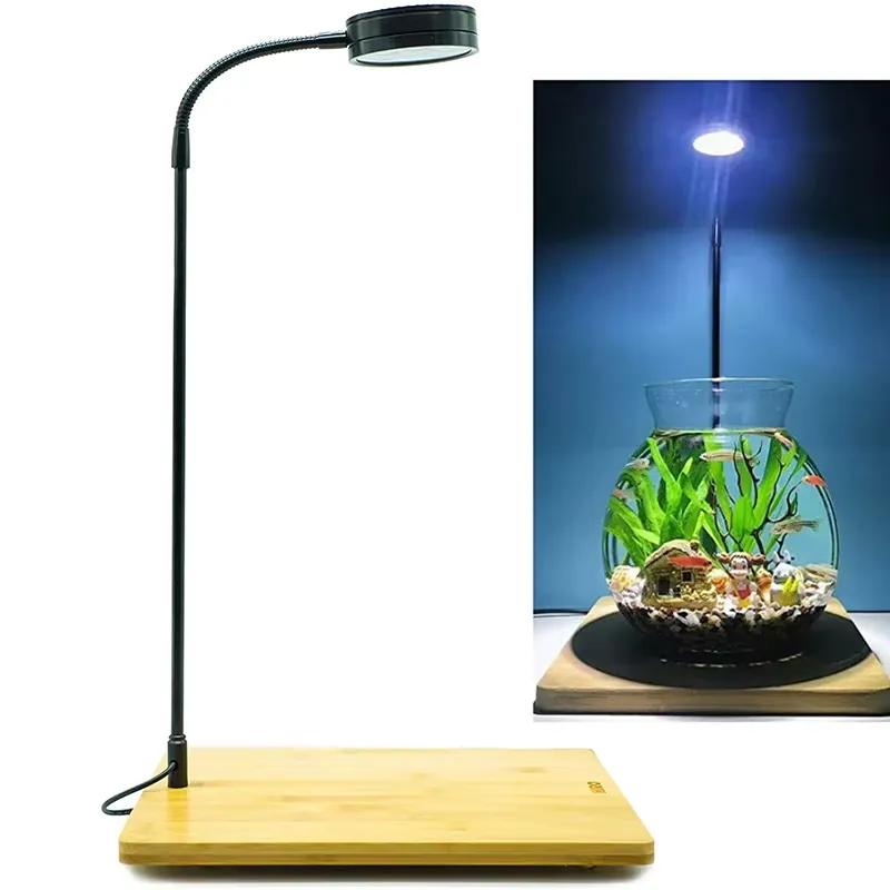 Luce LED a Spettro Completo co - Planted Aquarium For Betta recensione e prezzo