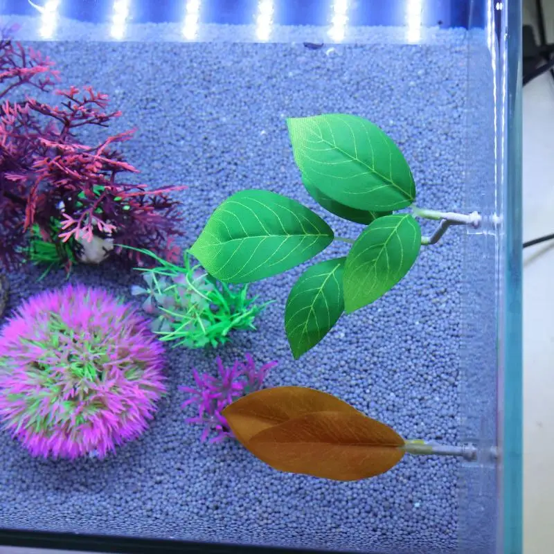 Amaca per foglie di pesce Bett - Planted Aquarium For Betta recensione e prezzo