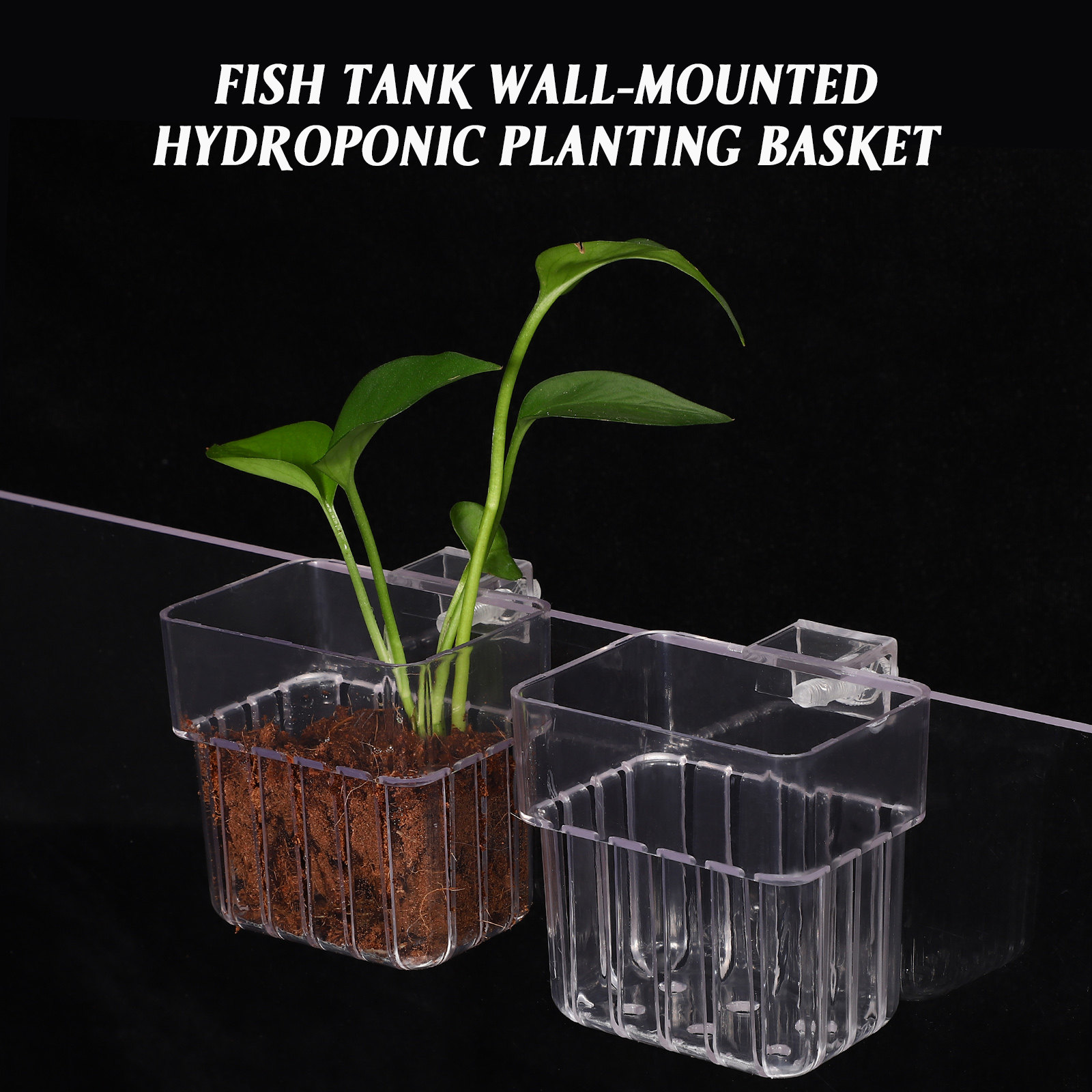 4 Pezzi Supporti per Piante da - Aquarium Planted Tank Setup recensione e prezzo