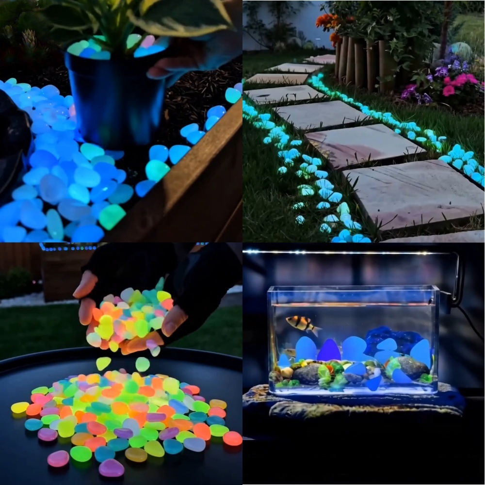 Ciottoli luminosi colorati che - Aquarium Planted Fish recensione e prezzo