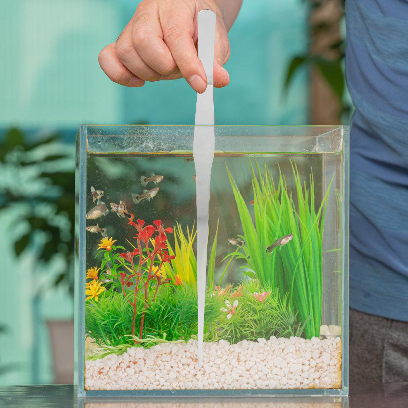 Pinzetta per Piante Acquatiche - Planted Aquarium With Gravel recensione e prezzo