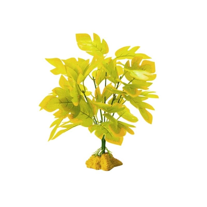 Acquari per piante per piante  - Aquarium Planted Fish recensione e prezzo