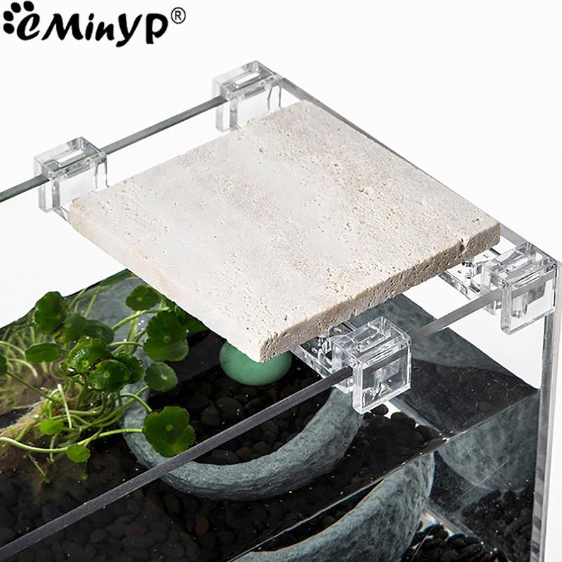 4 pezzi clip acriliche per acq - Aquarium Plant Holder recensione e prezzo