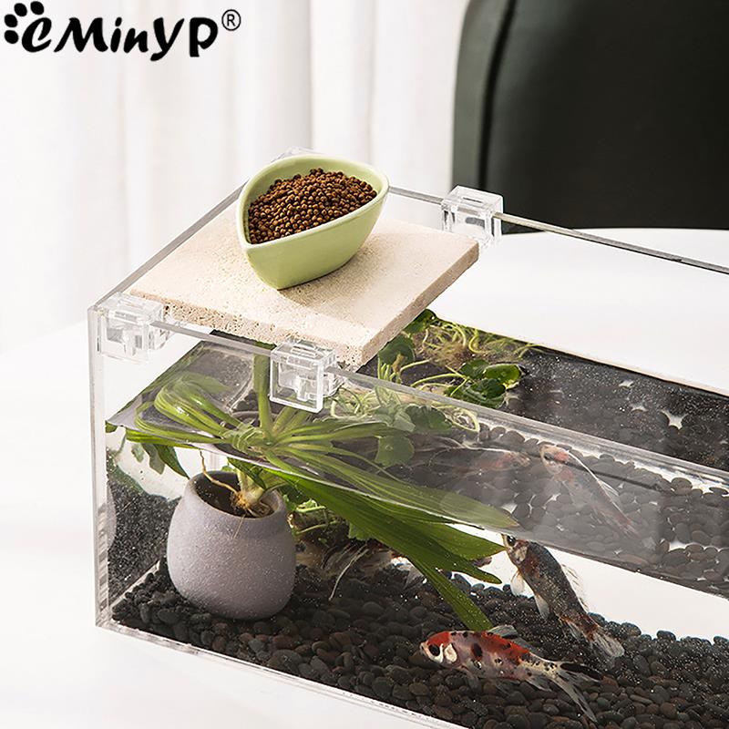 4 pezzi clip acriliche per acq - Aquarium Plant Holder recensione e prezzo