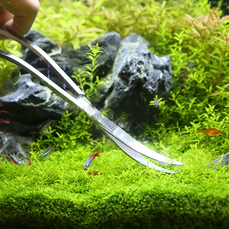 Strumenti per forbici per acqu - Aquarium Plant Holder recensione e prezzo