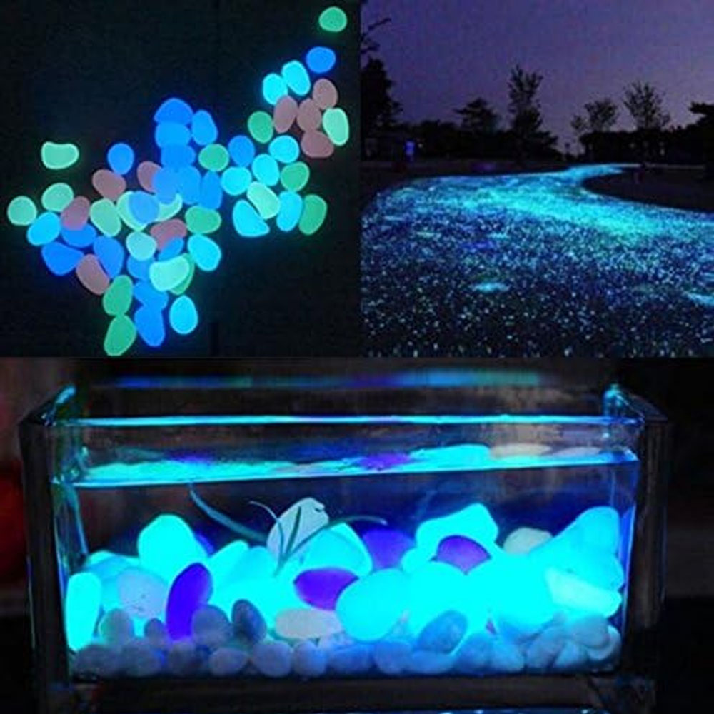 Rocce per acquari che si illum - Aquarium Planted Fish recensione e prezzo