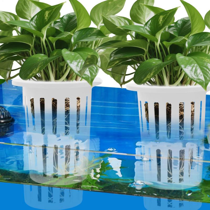 Sistema di coltivazione dell'a - Aquarium Planted Fish recensione e prezzo