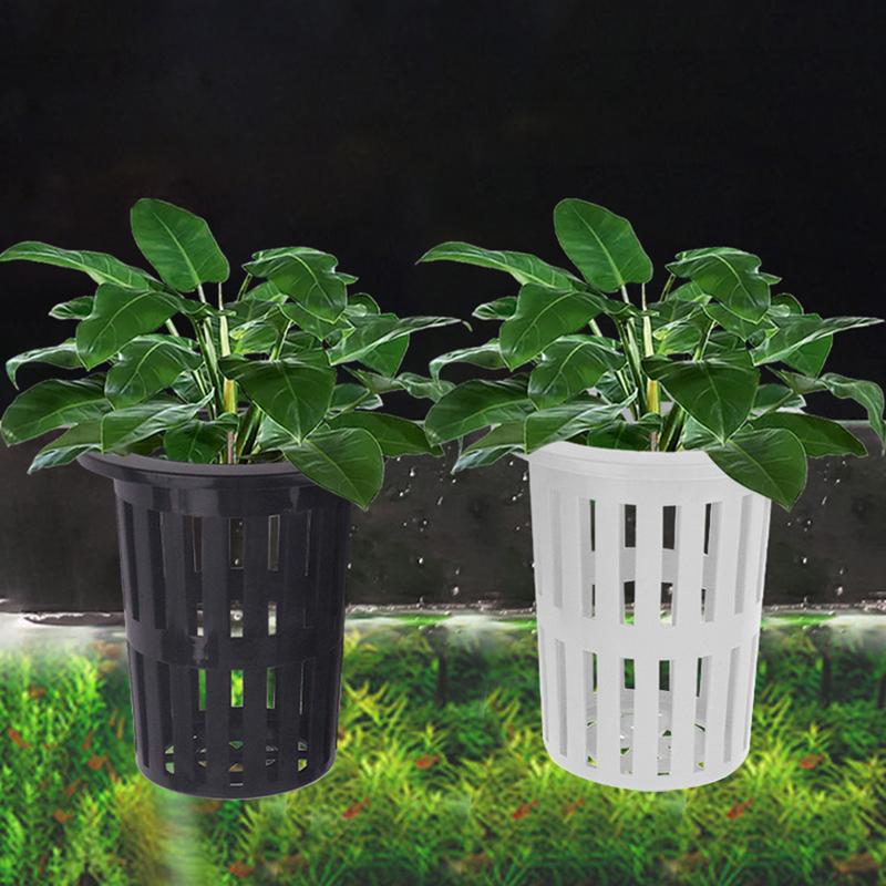Sistema di coltivazione dell'a - Aquarium Planted Fish recensione e prezzo