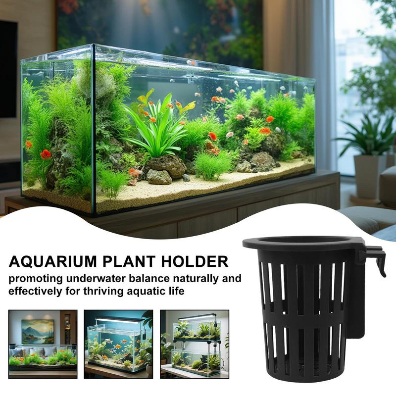 Sistema di coltivazione dell'a - Aquarium Planted Fish recensione e prezzo