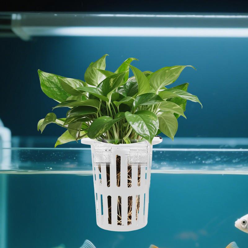 Sistema di coltivazione dell'a - Aquarium Planted Fish recensione e prezzo