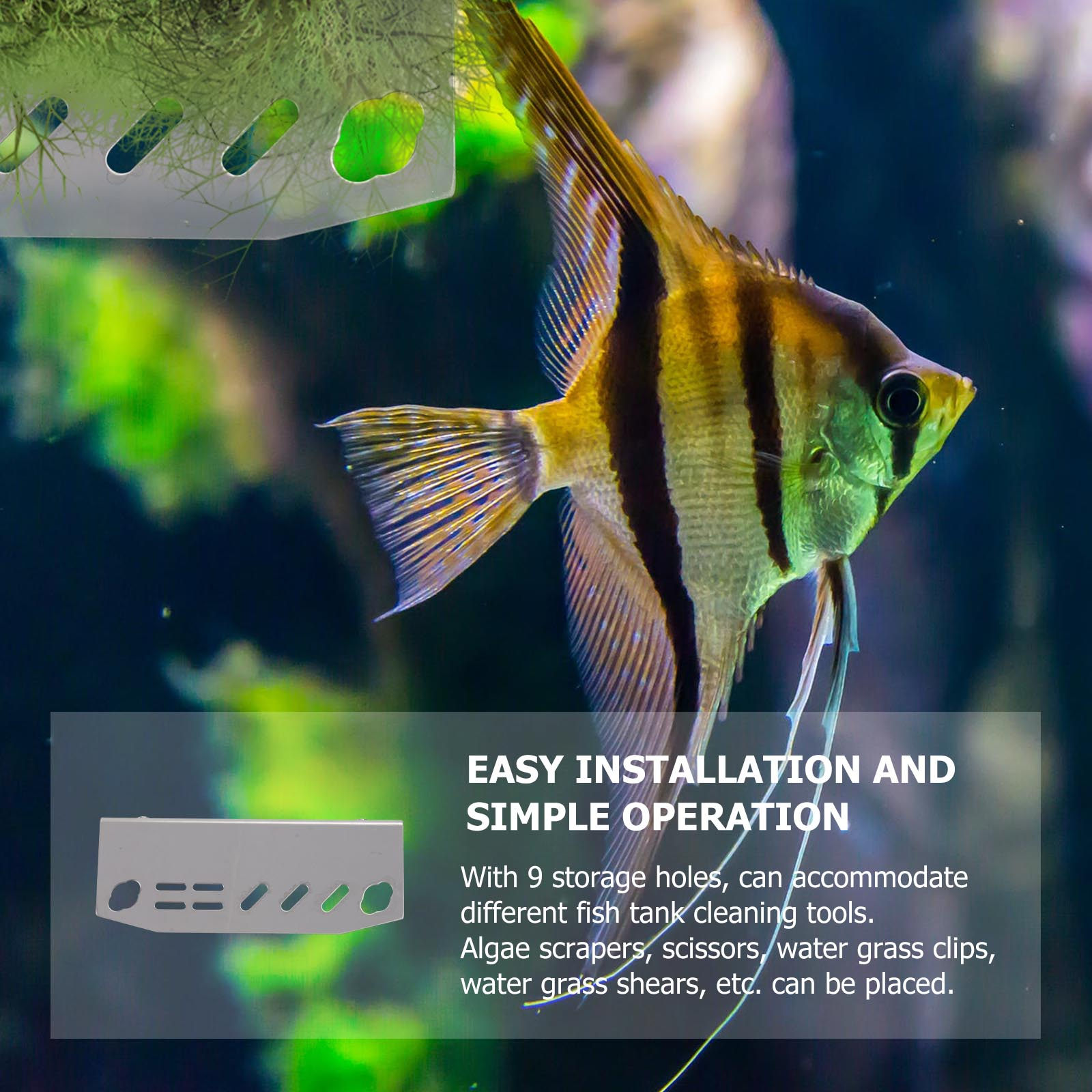 1 Pezzo Porta Attrezzi per Acq - Aquarium Plant Holder recensione e prezzo