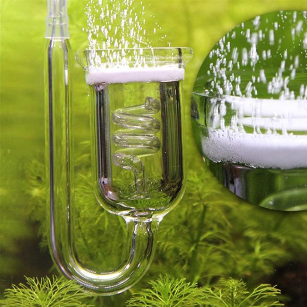 Diffusore di CO2 in Vetro Resi - Aquarium Planted Tank Setup recensione e prezzo