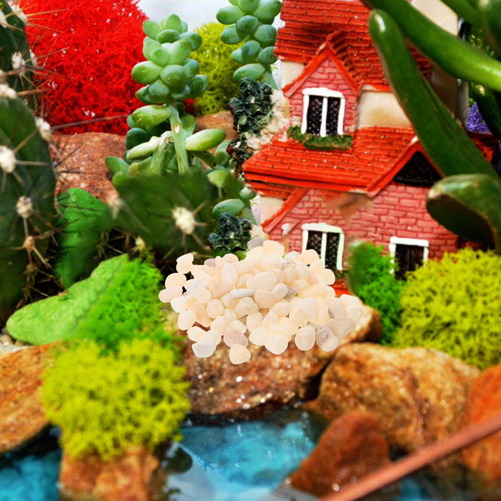 Ciottoli Naturali per Paesaggi - Planted Aquarium With Gravel recensione e prezzo