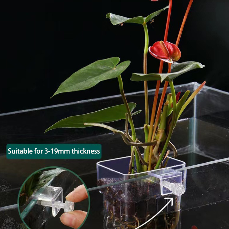 Multifunzionale Fish Aquarium  - Aquarium Planted Fish recensione e prezzo