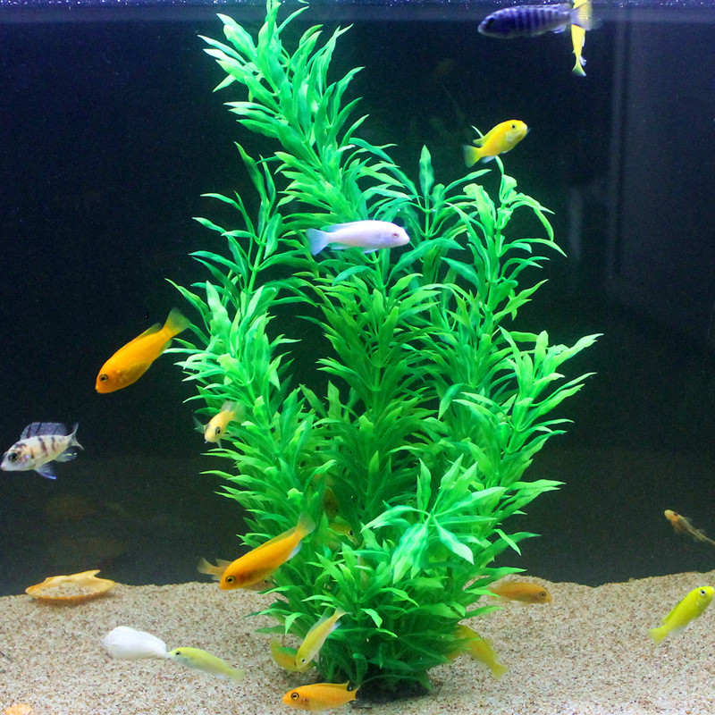 50CM Acquario artificiale Pian - Aquarium Planted Fish recensione e prezzo