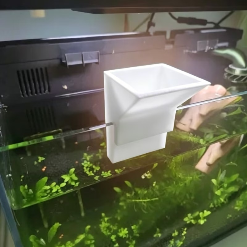 Camera di ingresso acqua per a - Aquarium Planted Tank Setup recensione e prezzo