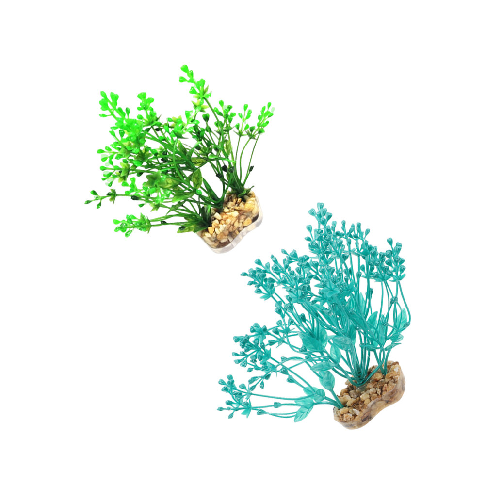 2 Pezzi di Piante Acquatiche A - Aquarium Planted Tank Setup recensione e prezzo
