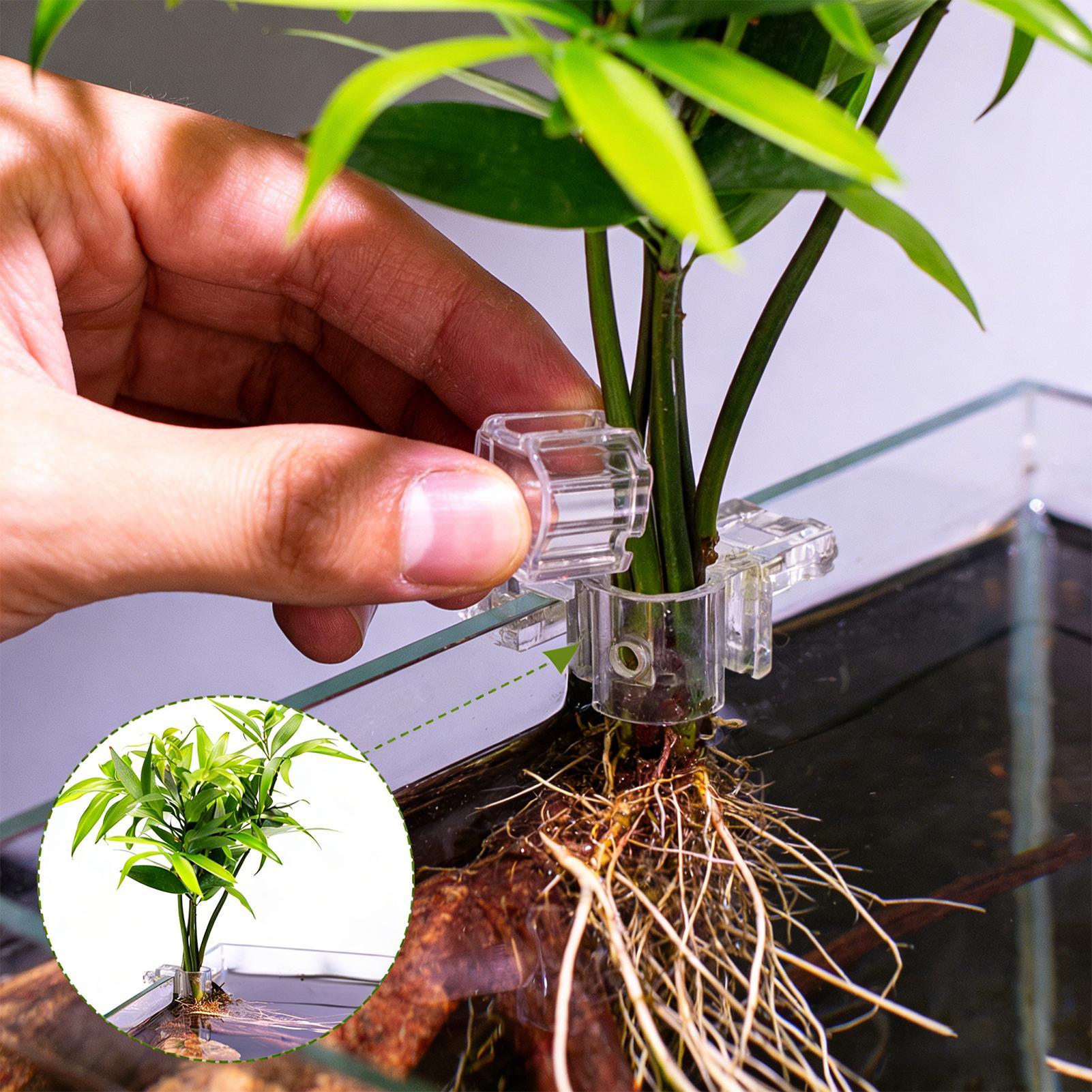 Supporto per piante per acquar - Aquarium Plant Holder recensione e prezzo