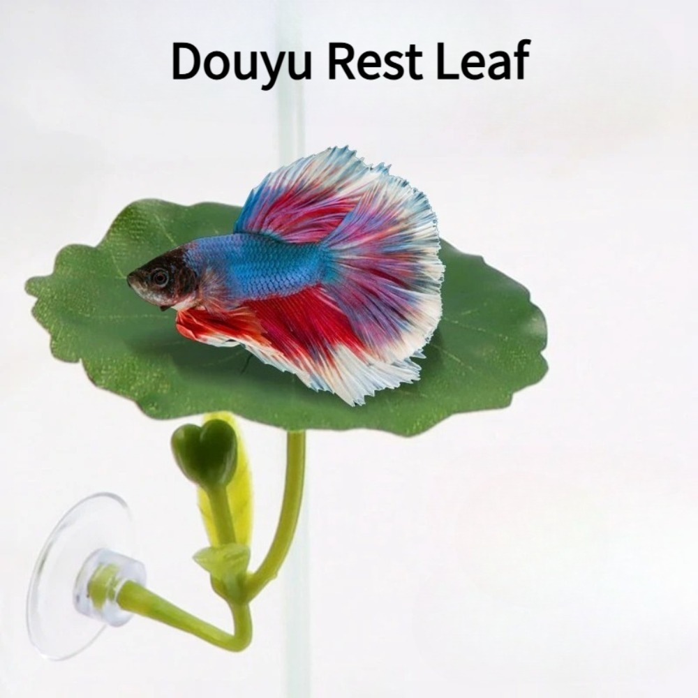 1 Pezzo Amaca per Pesci Betta  - Planted Aquarium For Betta recensione e prezzo