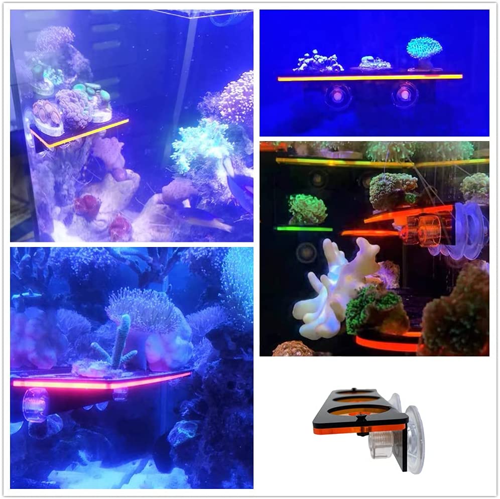 Staffa per tappo Frag in coral - Aquarium Plant Holder recensione e prezzo