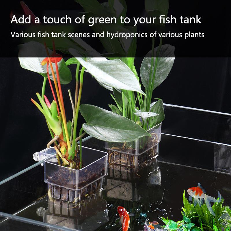 Cestelli per Coltivazione Idro - Aquarium Planted Tank Setup recensione e prezzo