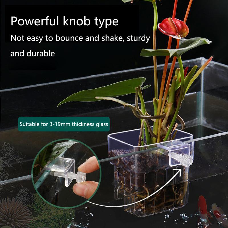 Cestelli per Coltivazione Idro - Aquarium Planted Tank Setup recensione e prezzo
