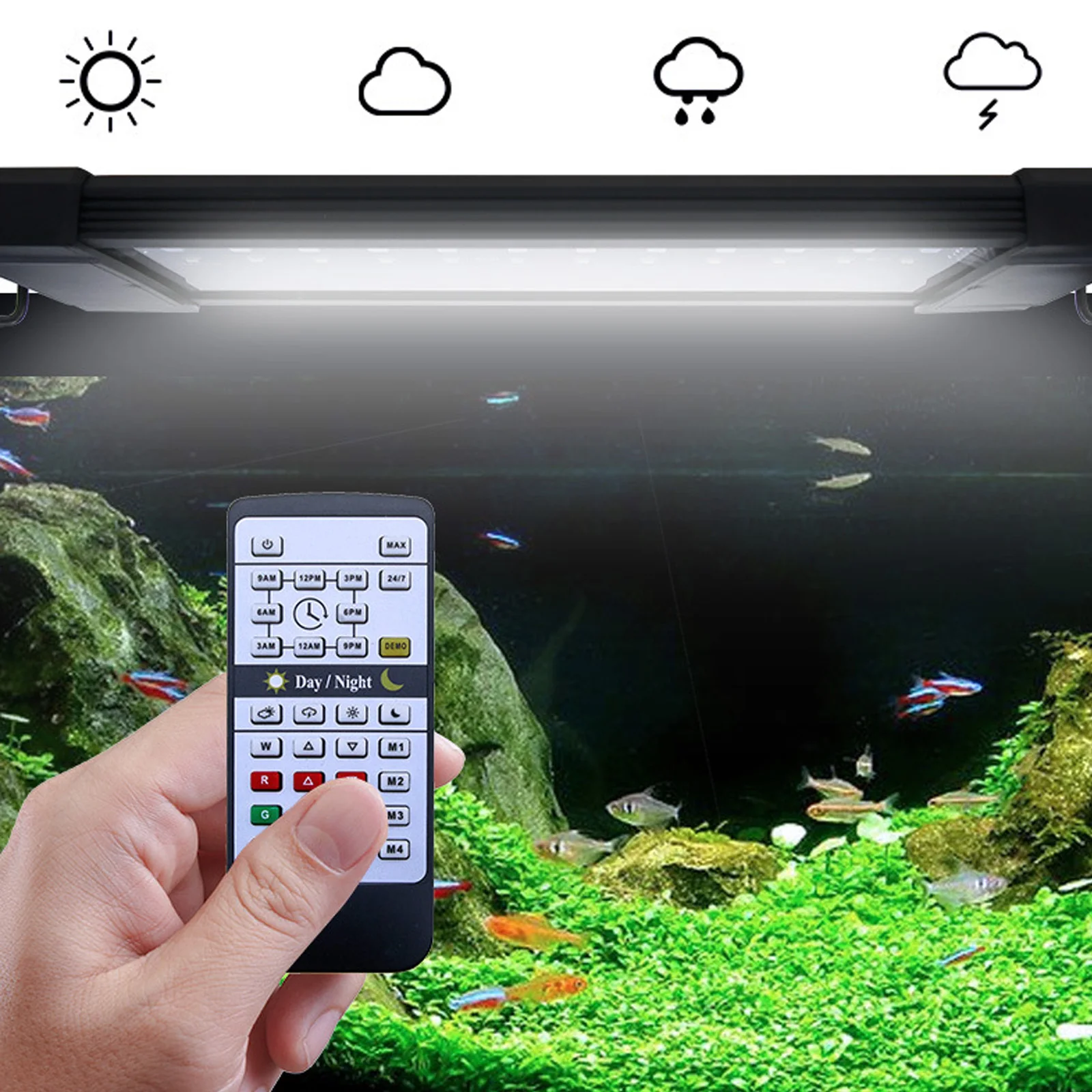 Lampada LED Liweida per Acquar - Planted Aquarium Hours recensione e prezzo