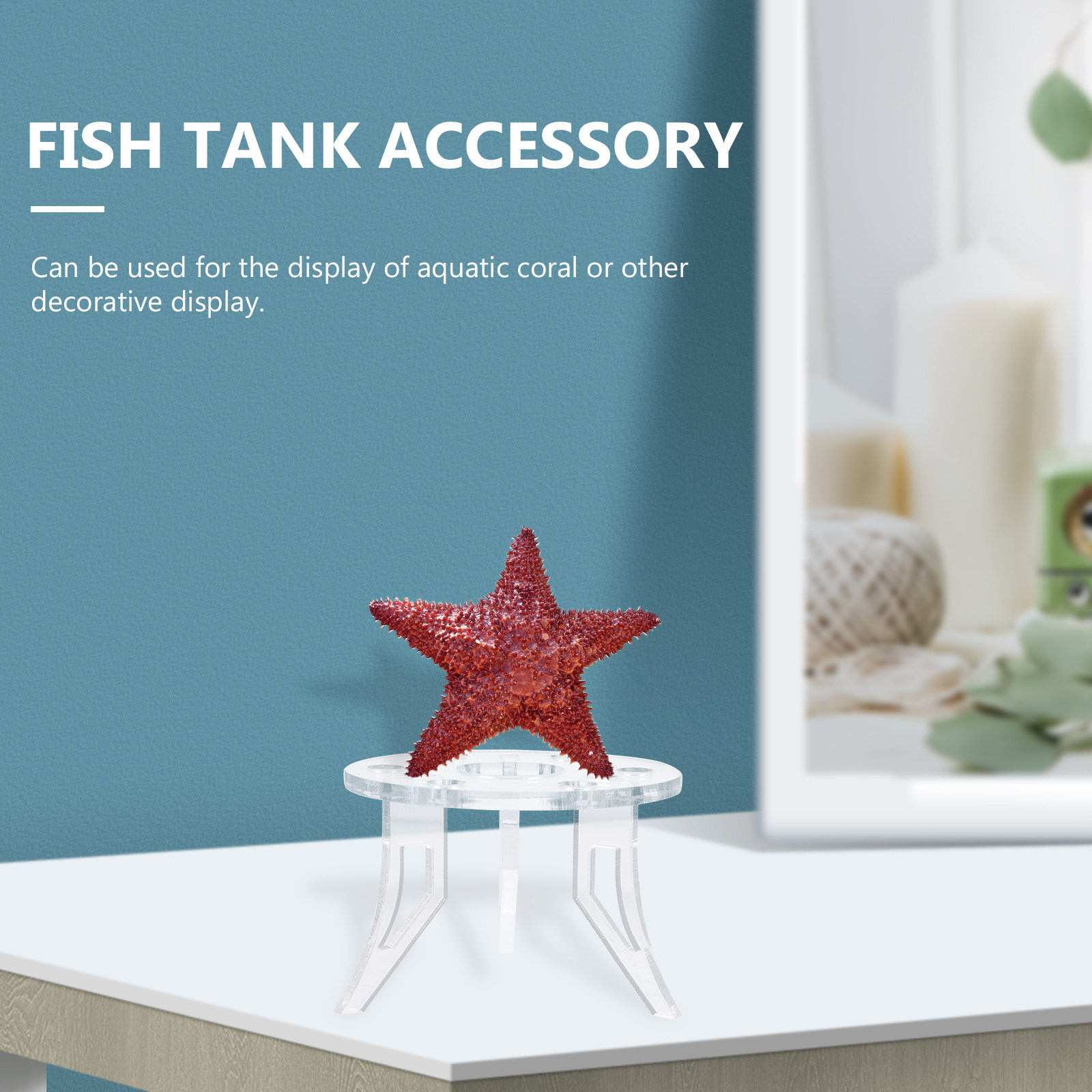 Base per Coralli, Accessorio E - Aquarium Planted Tank Setup recensione e prezzo