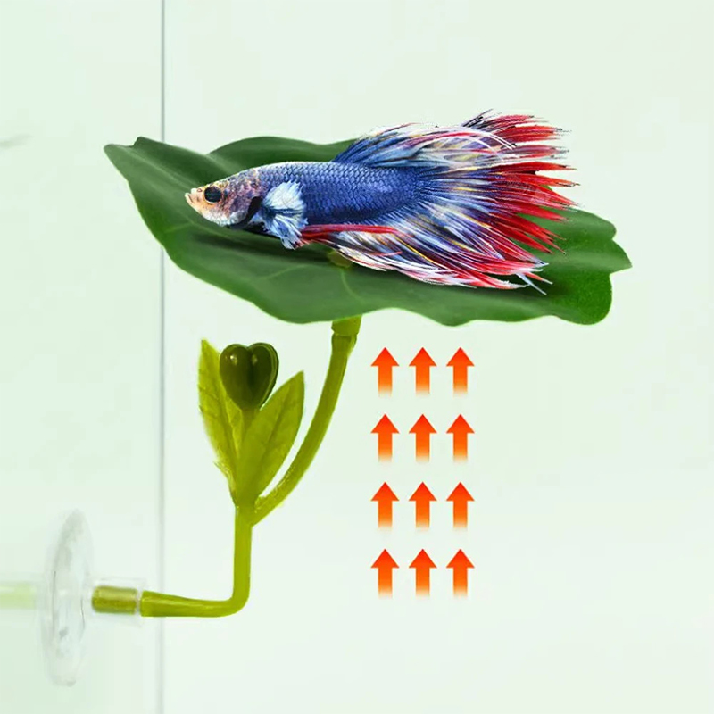 1 Pezzo Decorazione Antistress - Planted Aquarium For Betta recensione e prezzo