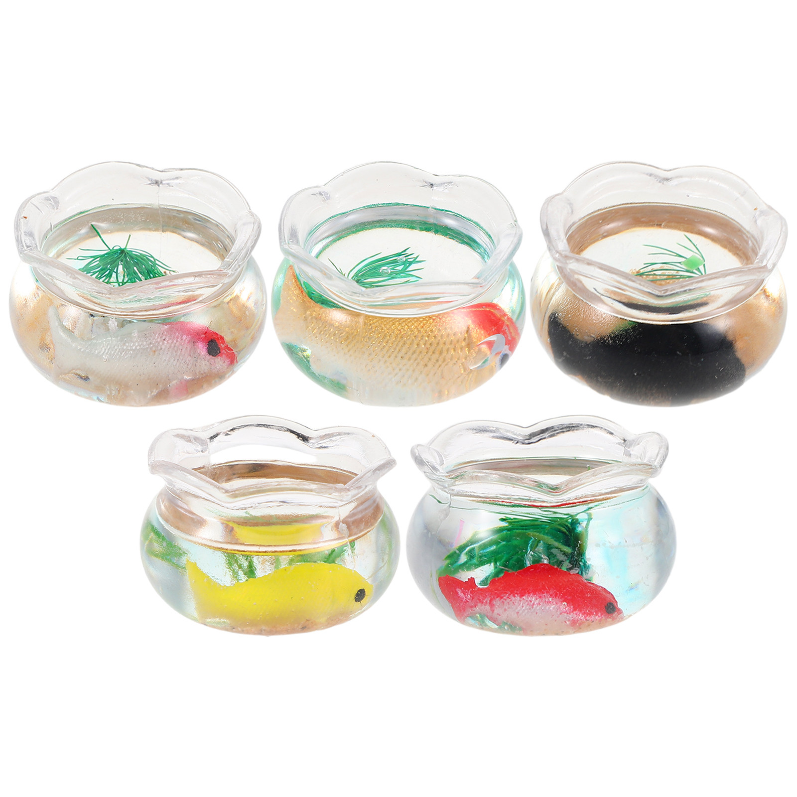 5 Pezzi Mini Acquario Rotondo  - Aquarium Planted Fish recensione e prezzo